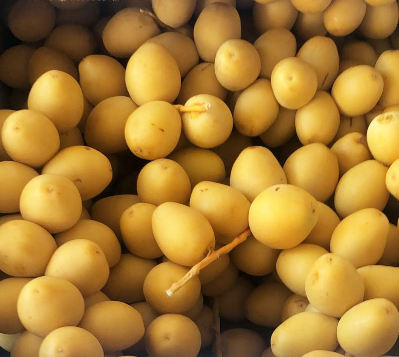 Čerstvé žluté datle 500g