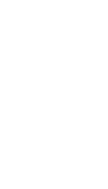 Sabilco mascot